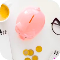 Budgeting Widgets for iPhone cover