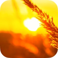 Golden Hour Widget for iPhone cover