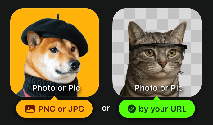 Your picture